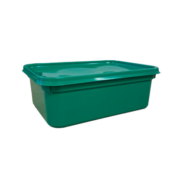 2L green rectangular ice cream tub with lid, durable plastic food storage container for catering and frozen desserts